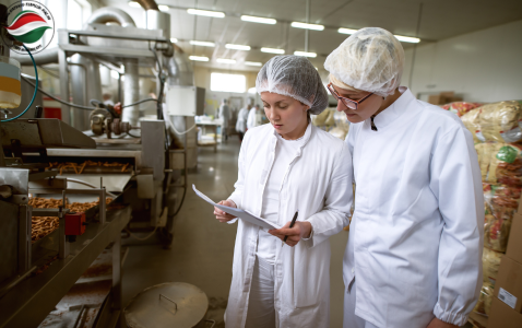 Virtuális Termelő Piac