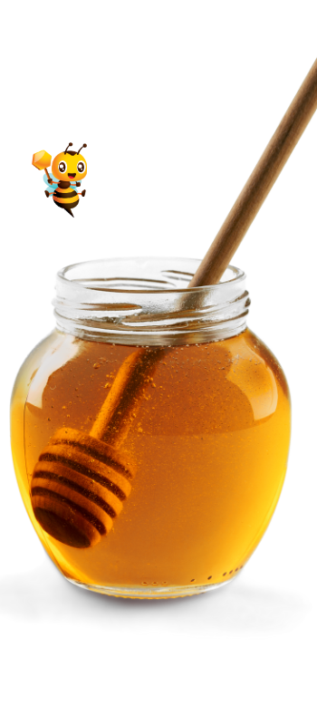 Virtuális Termelő Piac