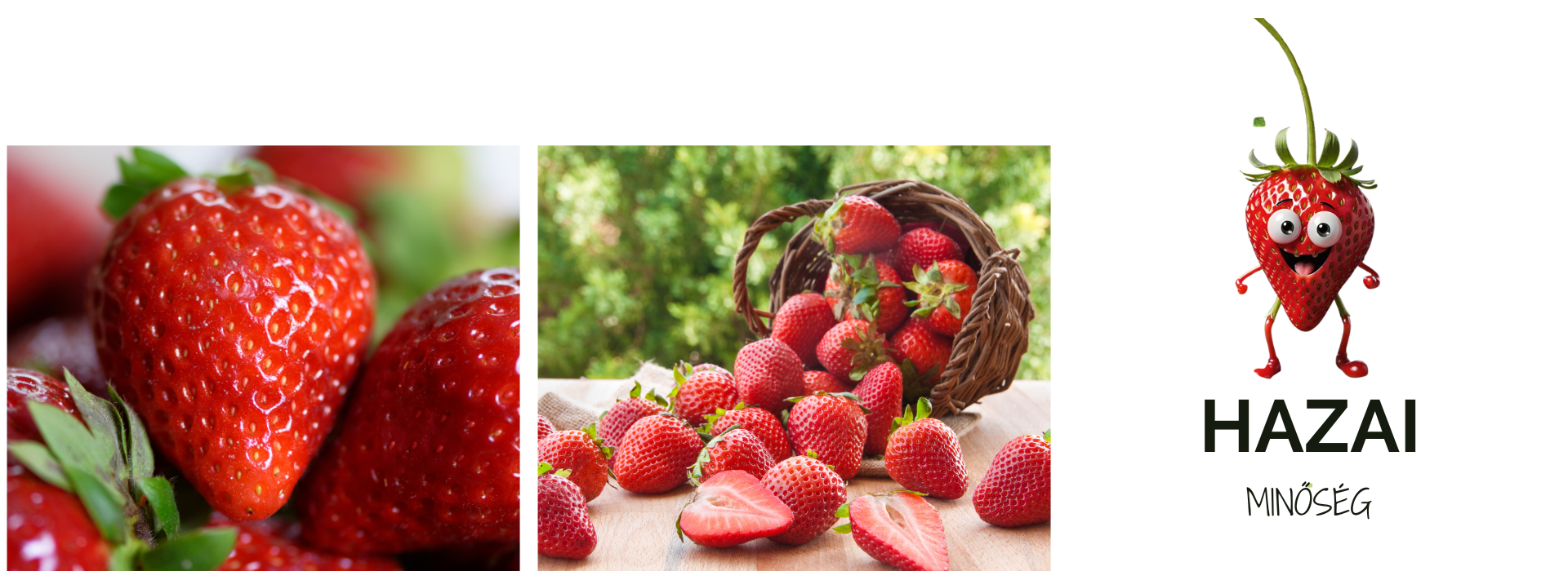 Virtuális Termelő Piac