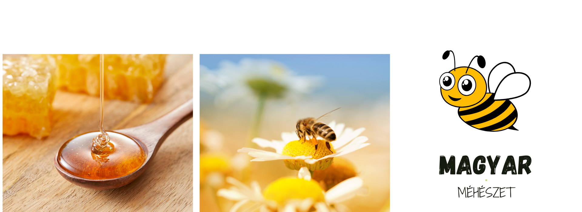 Magyar méz