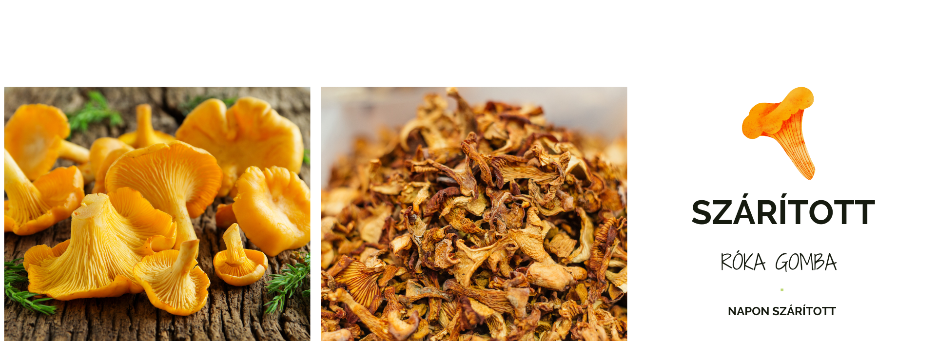 Szárított rókagomba