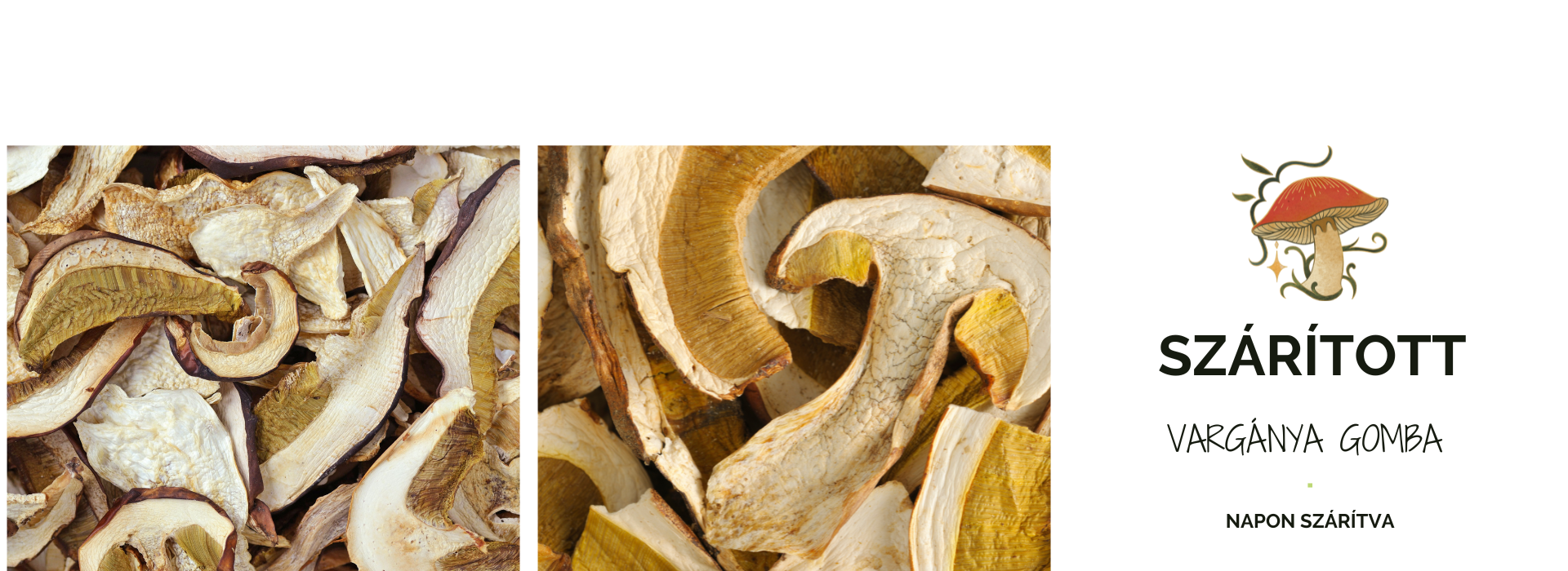 Szárított vargánya