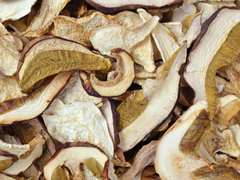 Szárított vargánya