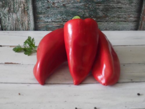 Kápia paprika