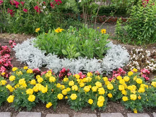 Vegyes virágméz 500 g