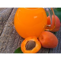 Mézes kajszi ivólé