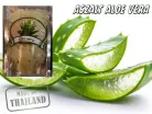 Aszalt aloe vera